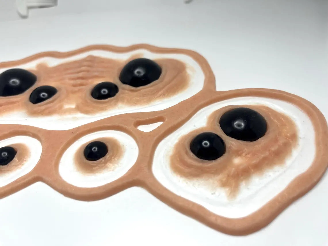 Arachnid Eyes