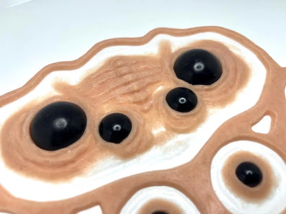 Arachnid Eyes