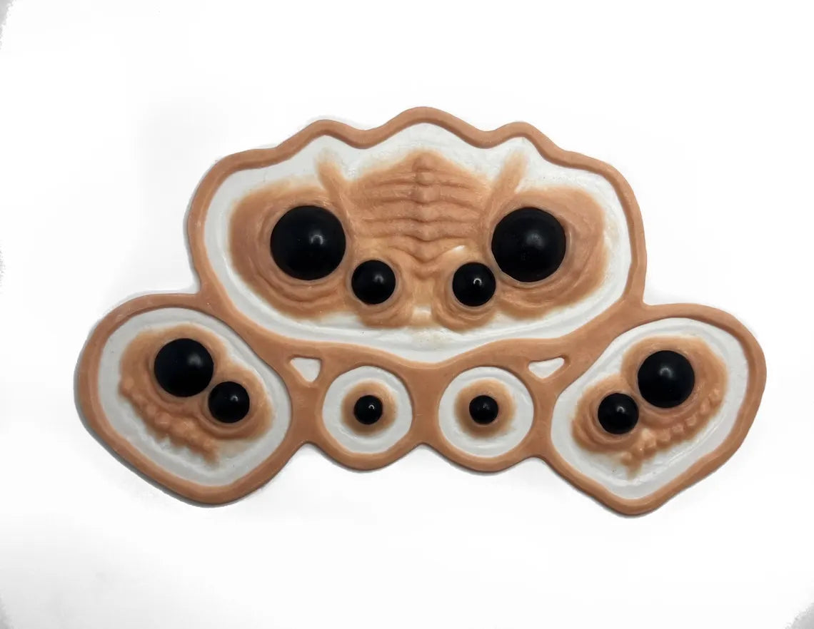 Arachnid Eyes