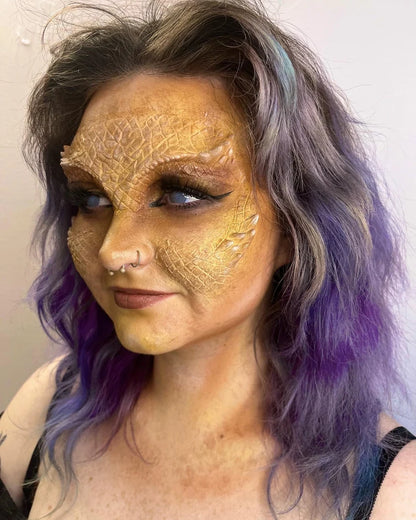 Bearded Dragon Set