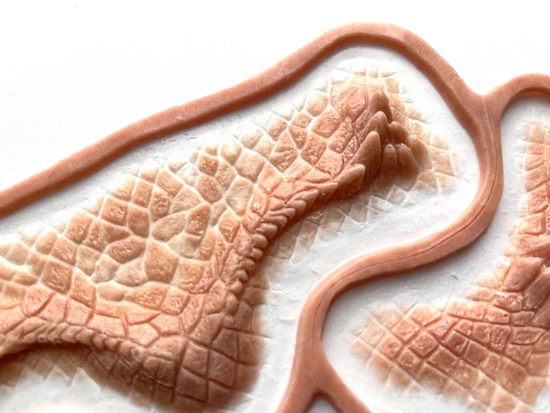 Bearded Dragon Set