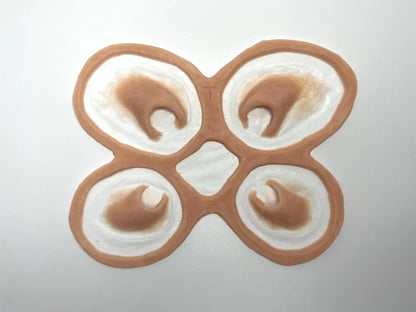 Chelicerae Set