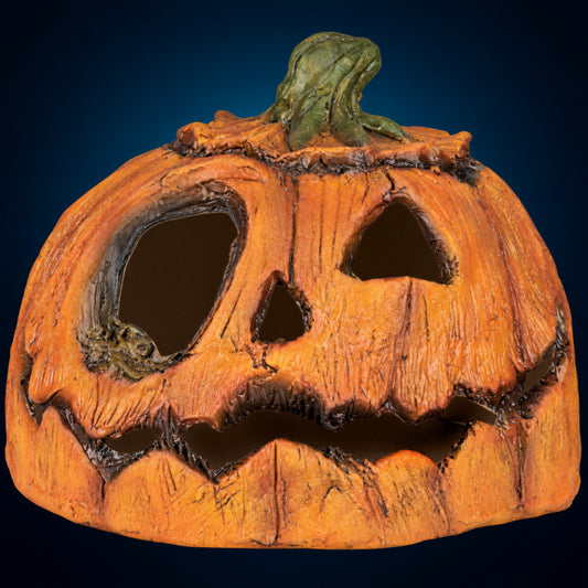 Rotten Pumpkin 2 – front view on dark blue-teal gradient