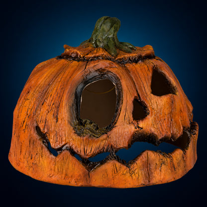 Rotten Pumpkin 2 – opposite angled view on dark blue-teal gradient