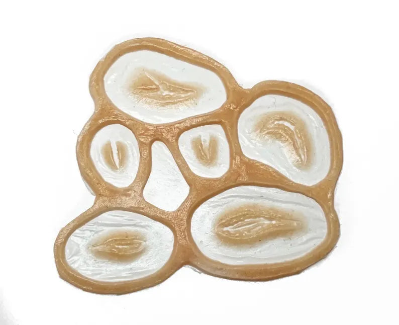 Small Laceration Set