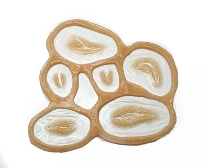 Small Laceration Set