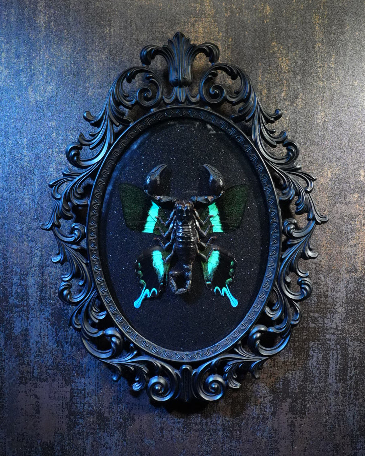 Emperor Scorpion and Peacock Butterfly in an Antique Frame framed wall decor