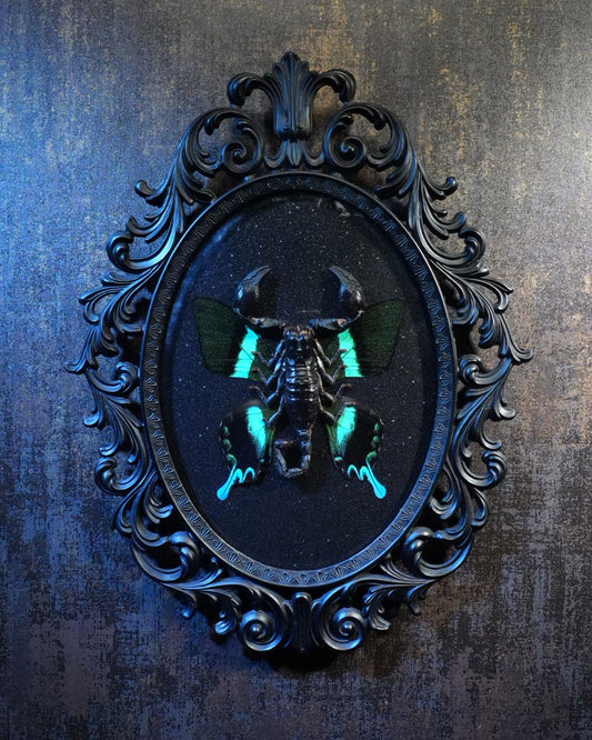 Emperor Scorpion and Peacock Butterfly in an Antique Frame framed wall decor