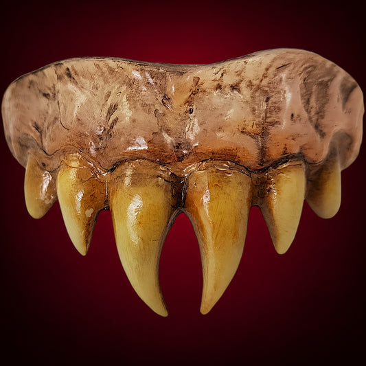 Vampire Master Teeth on dark burgundy gradient